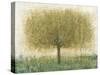 Summer Day Tree I-Tim OToole-Stretched Canvas