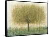 Summer Day Tree I-Tim OToole-Framed Stretched Canvas