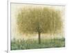 Summer Day Tree I-Tim OToole-Framed Art Print