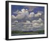 Summer Day-Tom Thomson-Framed Giclee Print