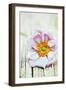 Summer Days I-James Guilliam-Framed Giclee Print