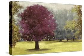 Summer Days-Plum-Anna Polanski-Stretched Canvas