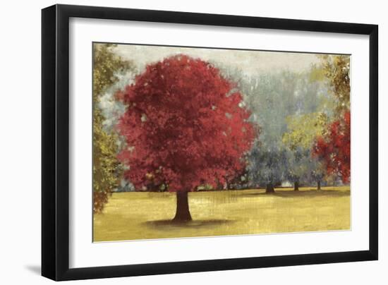 Summer Days-Red-Anna Polanski-Framed Art Print