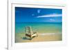 Summer Days-Mike Toy-Framed Giclee Print