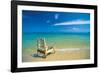 Summer Days-Mike Toy-Framed Giclee Print