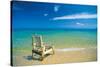 Summer Days-Mike Toy-Stretched Canvas