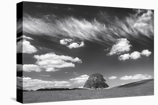 Summer Days-Doug Chinnery-Stretched Canvas