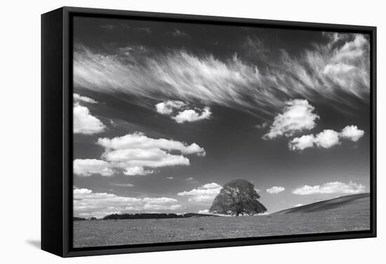 Summer Days-Doug Chinnery-Framed Stretched Canvas