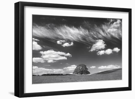 Summer Days-Doug Chinnery-Framed Photographic Print