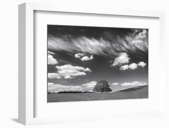 Summer Days-Doug Chinnery-Framed Photographic Print