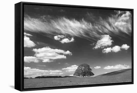 Summer Days-Doug Chinnery-Framed Stretched Canvas