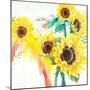 Summer Days-Rikki Drotar-Mounted Giclee Print