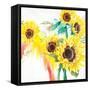 Summer Days-Rikki Drotar-Framed Stretched Canvas