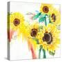 Summer Days-Rikki Drotar-Stretched Canvas