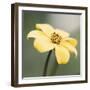 Summer Daze-John Harper-Framed Giclee Print