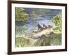 Summer Daze-Nate Owens-Framed Giclee Print