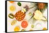 Summer Diet, Fresh Fruits-neirfy-Framed Stretched Canvas