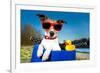 Summer Dog on Bike-Javier Brosch-Framed Photographic Print