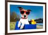Summer Dog on Bike-Javier Brosch-Framed Photographic Print