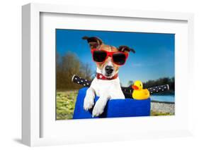 Summer Dog on Bike-Javier Brosch-Framed Photographic Print