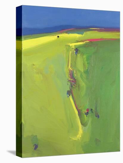 Summer Downs, 2000-John Miller-Stretched Canvas
