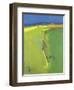 Summer Downs, 2000-John Miller-Framed Giclee Print