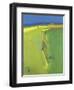 Summer Downs, 2000-John Miller-Framed Giclee Print