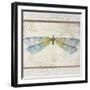 Summer Dragonfly 1-Jean Plout-Framed Giclee Print