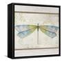 Summer Dragonfly 1-Jean Plout-Framed Stretched Canvas