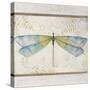 Summer Dragonfly 1-Jean Plout-Stretched Canvas
