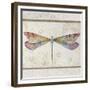 Summer Dragonfly 2-Jean Plout-Framed Giclee Print