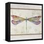 Summer Dragonfly 2-Jean Plout-Framed Stretched Canvas