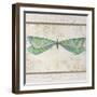 Summer Dragonfly 3-Jean Plout-Framed Giclee Print