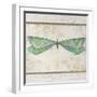 Summer Dragonfly 3-Jean Plout-Framed Giclee Print