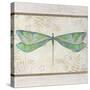 Summer Dragonfly 3-Jean Plout-Stretched Canvas