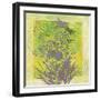 Summer Dream-Bee Sturgis-Framed Art Print