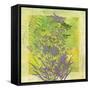 Summer Dream-Bee Sturgis-Framed Stretched Canvas