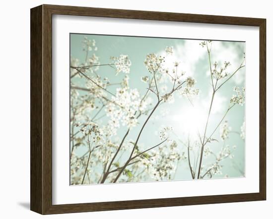 Summer Dreams-Assaf Frank-Framed Giclee Print