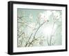 Summer Dreams-Assaf Frank-Framed Giclee Print