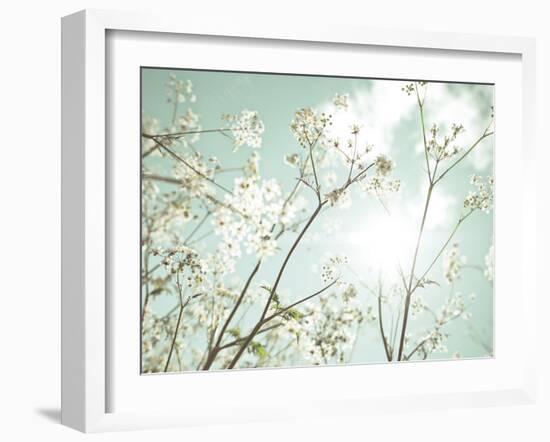 Summer Dreams-Assaf Frank-Framed Giclee Print