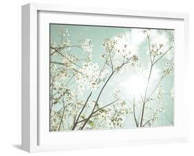 Summer Dreams-Assaf Frank-Framed Giclee Print