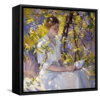 Summer Dreams-Donna Schuster-Framed Stretched Canvas