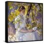 Summer Dreams-Donna Schuster-Framed Stretched Canvas