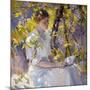 Summer Dreams-Donna Schuster-Mounted Art Print