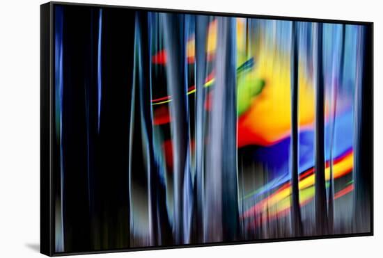 Summer Dreams-Ursula Abresch-Framed Stretched Canvas