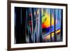 Summer Dreams-Ursula Abresch-Framed Photographic Print