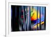 Summer Dreams-Ursula Abresch-Framed Photographic Print