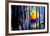 Summer Dreams-Ursula Abresch-Framed Photographic Print