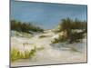 Summer Dunes I-Ethan Harper-Mounted Art Print