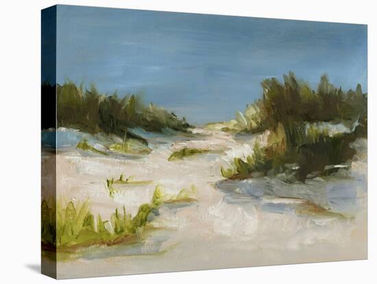 Summer Dunes I-Ethan Harper-Stretched Canvas